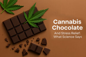 Cannabis Infused Chocolate bar with cannabis leaf – science-backed benefits for stress relief and wellness.